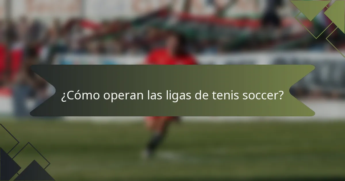 ¿Cómo operan las ligas de tenis soccer?
