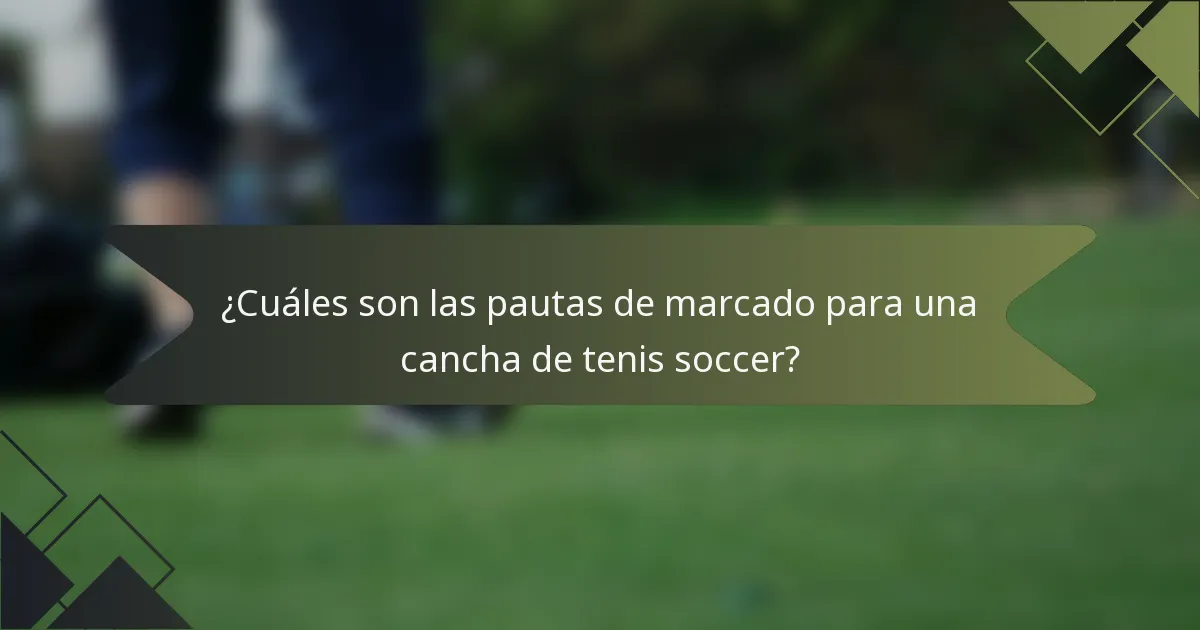 ¿Cuáles son las pautas de marcado para una cancha de tenis soccer?
