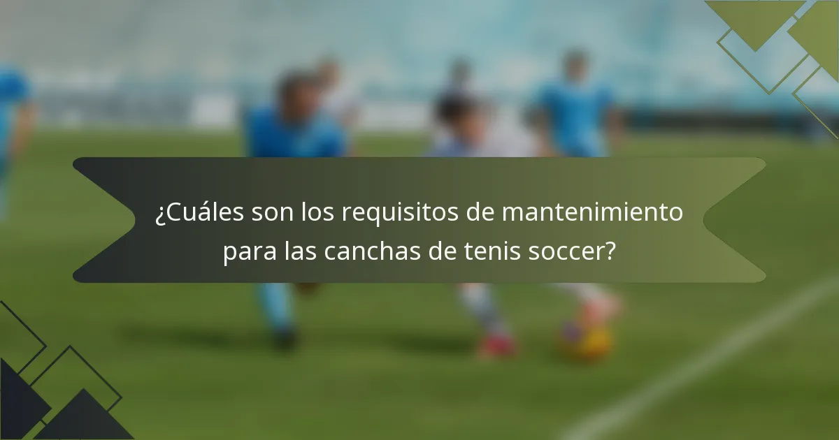 ¿Cuáles son los requisitos de mantenimiento para las canchas de tenis soccer?